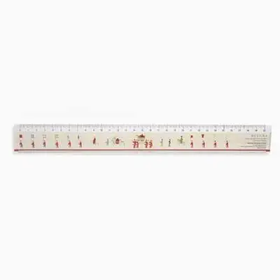 儀軌定規 (30cm)