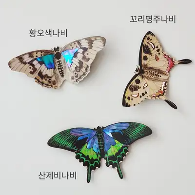 Mother-of-Pearl Butterfly Magnet [Lacquerware of East Asia] – National Museum of Korea Special Exhibition
