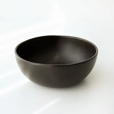 伝漆 退主器