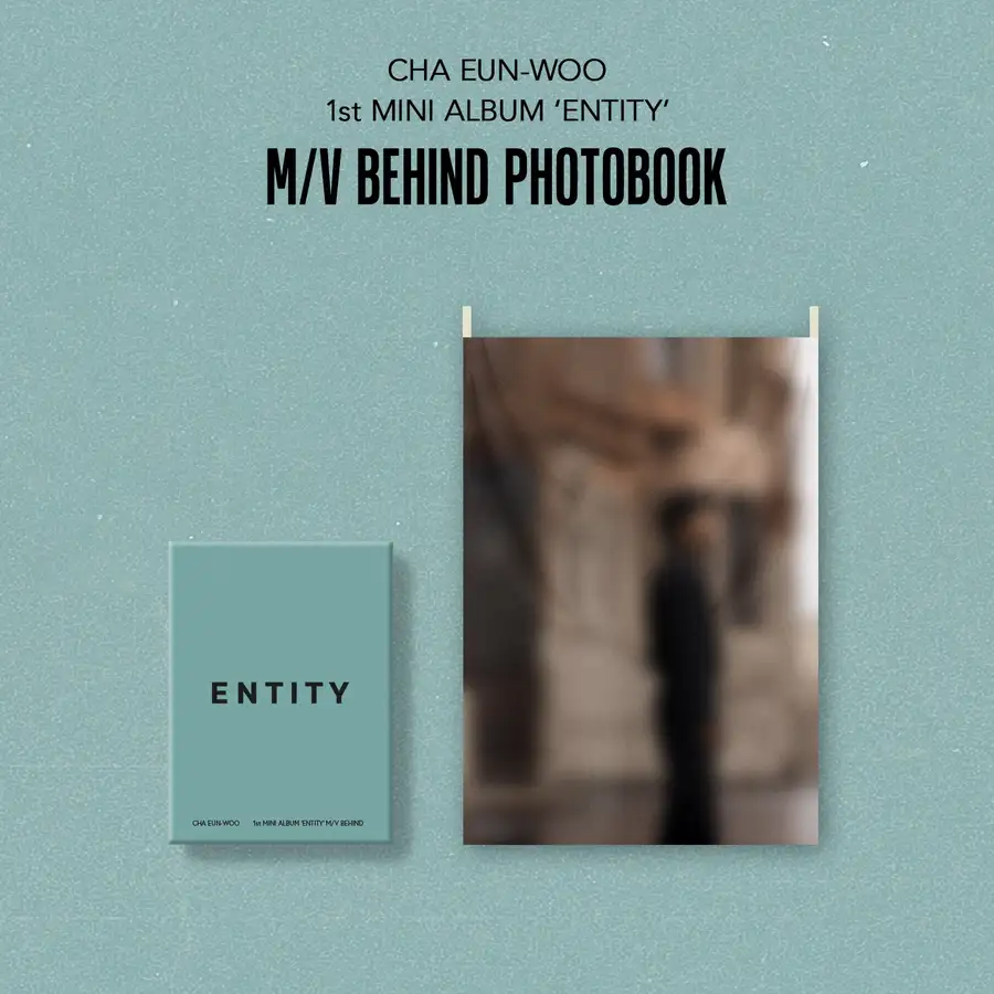 チャ・ウヌ ミニ1集 [ENTITY] M/V BEHIND PHOTOBOOK OFFICIAL MD ファブリック ポスター