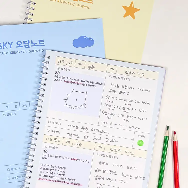 小学 SKY 错题本 — 2