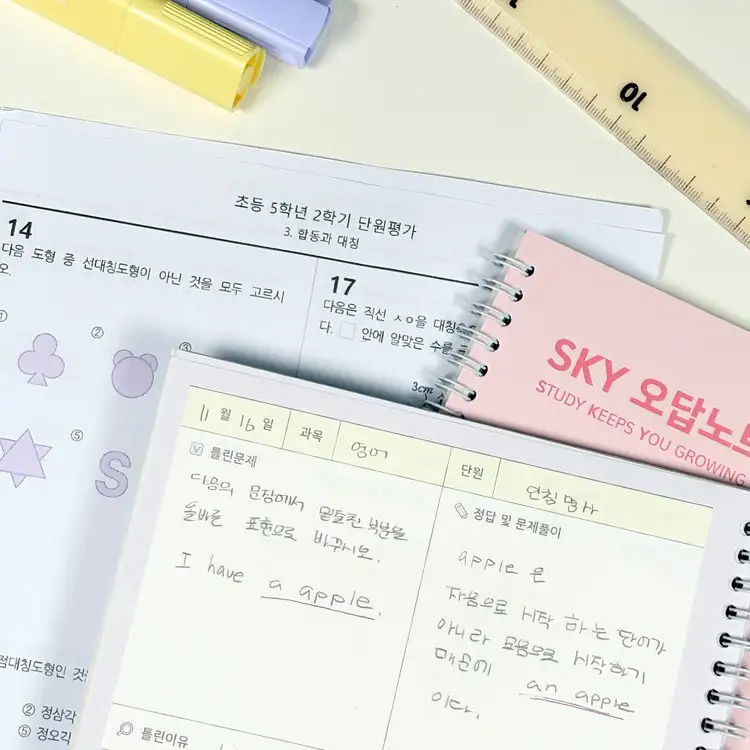 小学 SKY 错题本 — 4