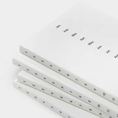 Object One-Third Diary