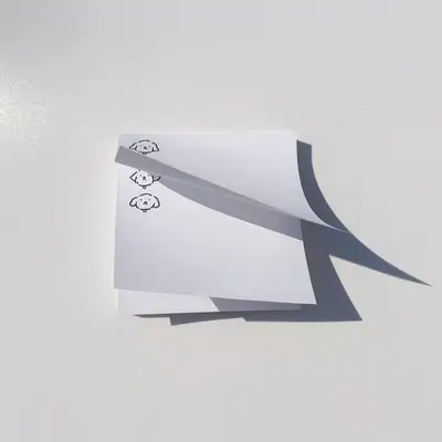 Tteok Memo Pad 2 Types