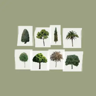 the tree masking tape