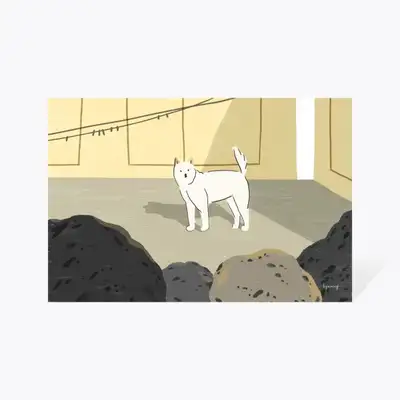 Postcard 18_Village Dog