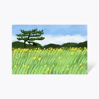 Postcard 47_Rapeseed Flower Olle Path