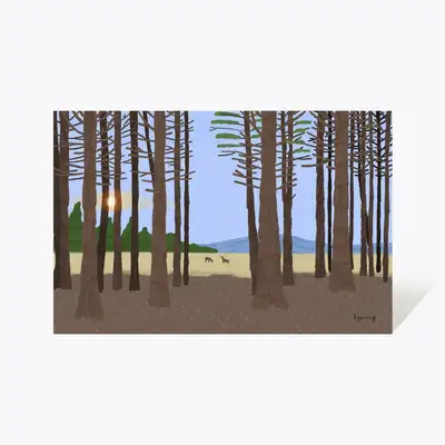 Postcard 48_Water Sprite Forest