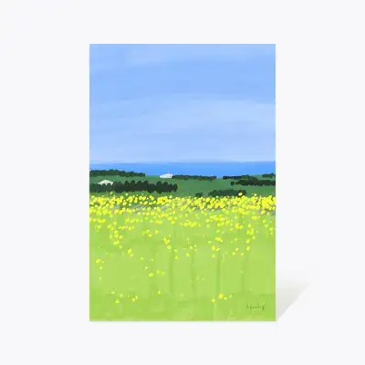 Postcard 55_Rapeseed Flower Field
