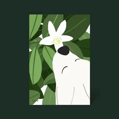 Postcard 15_Citrus Blossom