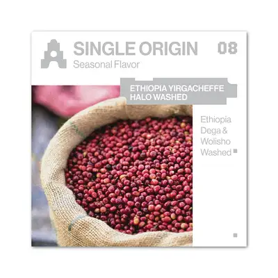 ASTERUM SINGLE ORIGIN 08 COFFEE BEAN 200g