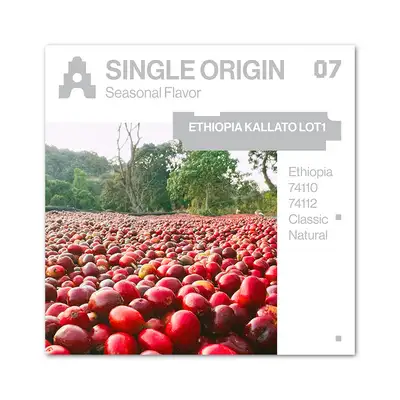 ASTERUM SINGLE ORIGIN 07 COFFEE BEAN 200g