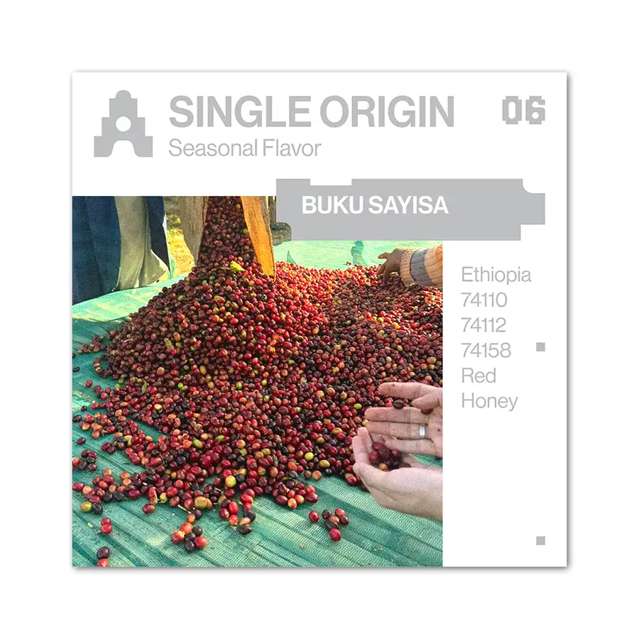 ASTERUM SINGLE ORIGIN 06 COFFEE BEAN 100g