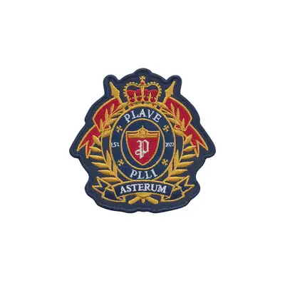 HIDE AND SEEK EMBLEM PIN BADGE