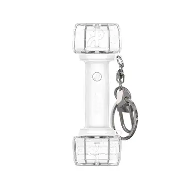 Official Light Stick Keyring