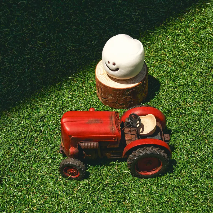 Mini Marsh on the field_毛绒娃娃 — 1