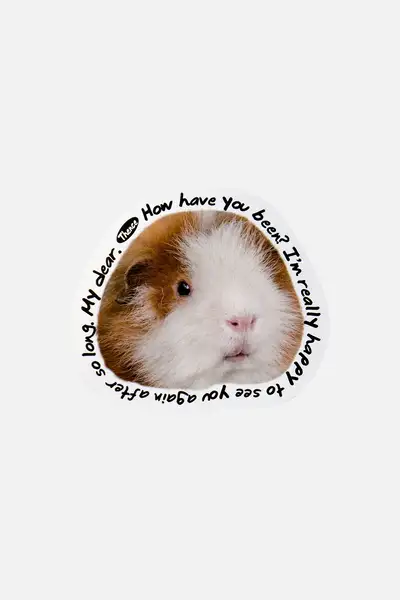 Thomson Card_Cavy