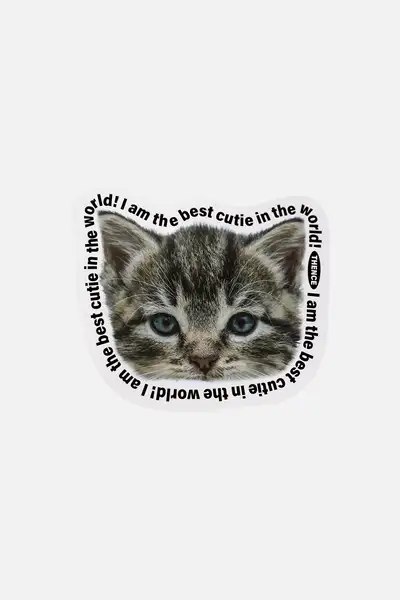 Thomson Card_Kitty