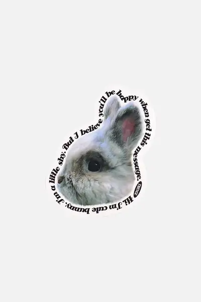 Thomson Card_Bunny