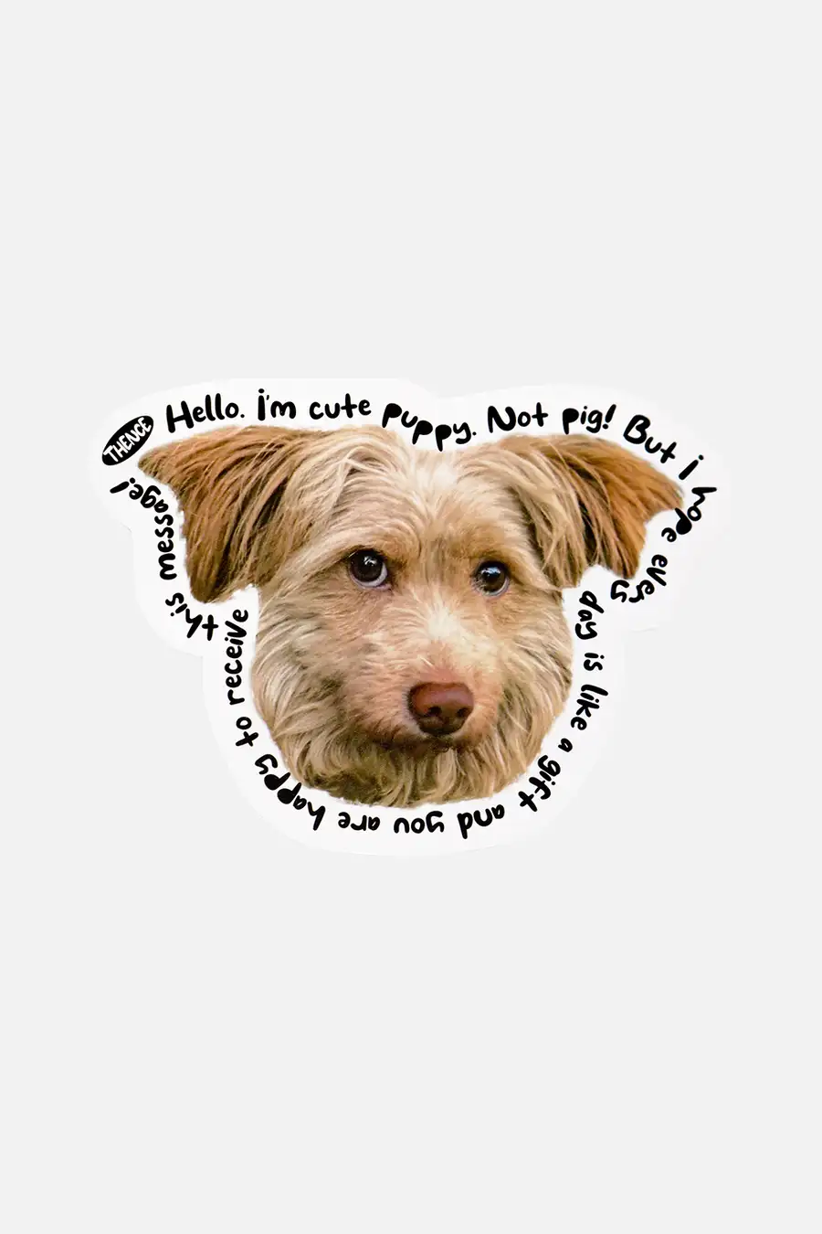 Thomson Card_Brown Puppy