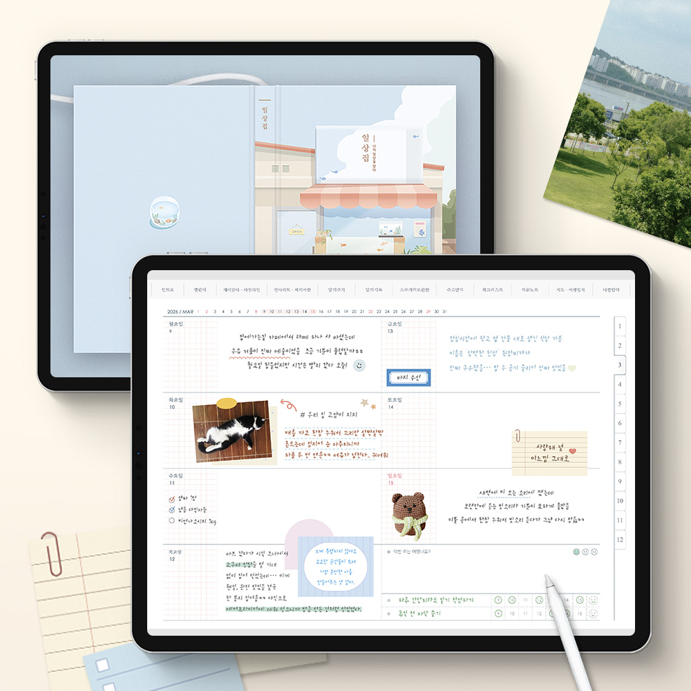 2026 Dailyzip Diary GoodNotes Insert Pages