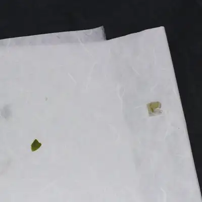 自然满溢三叶草手工纸(5张)