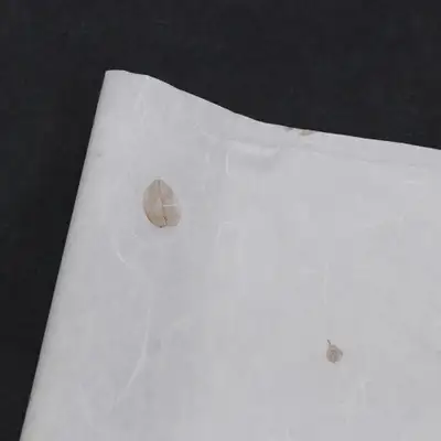 自然满溢酸枣叶宣纸 白色(5张)
