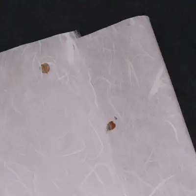 自然满溢酸枣叶运用纸 巧克力色(5张)