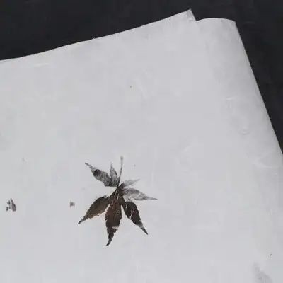 自然满满枫叶云龙纸(5张)