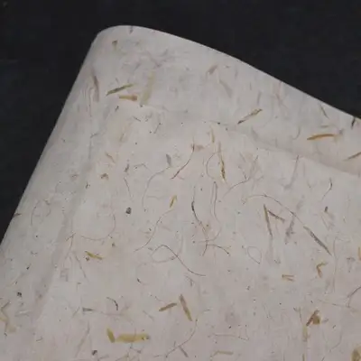 自然满满银杏叶运用纸(5张)