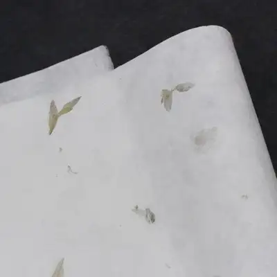 自然满满艾草叶运用纸(5张)