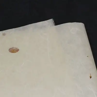 自然满满 柴胡 云云纸 米色(5张)