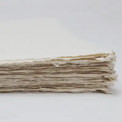 Oldpaper:EDGE A4 2-ply (5 sheets)