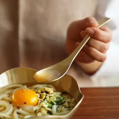 方磁鍮鉄 鍮鉄 うどんスプーン
