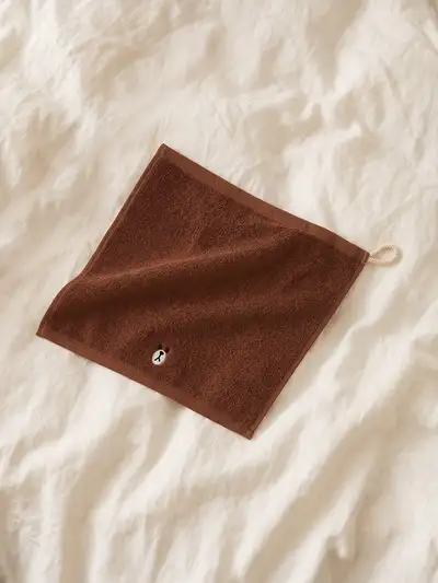 Line Friends Brown Daily Soft Hand Towel