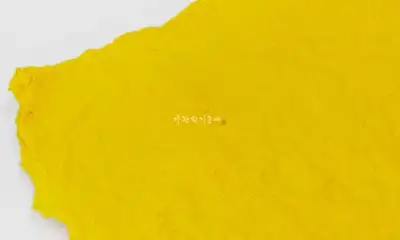 Zoomchi Hanji - Forsythia