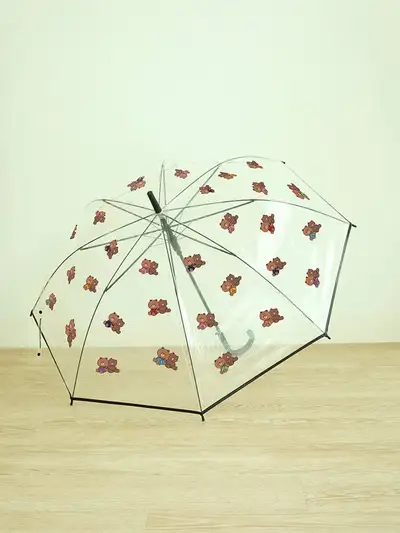 LINE FRIENDS ORDINARY DAYS Clear Umbrella