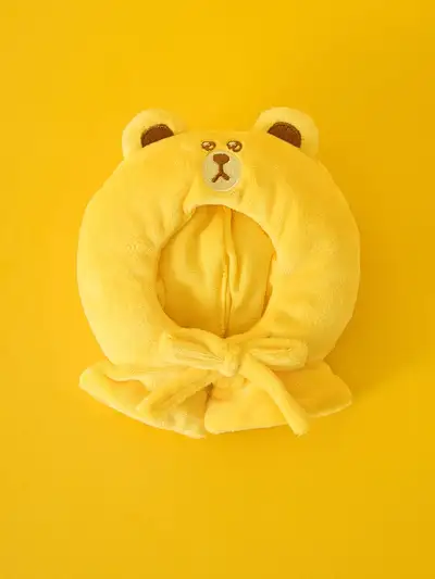 Line Friends Sally Day Brown Closet