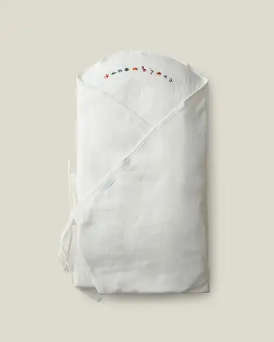 Ten Symbols of Longevity Book Cover