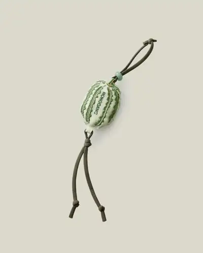 Grass and Insect Painting Watermelon Keyring (Complimentary Message Tag Included)