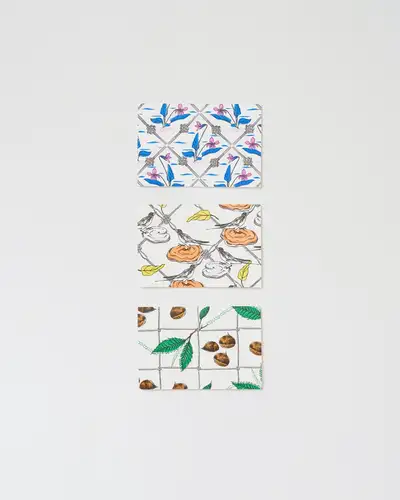 Hohojang and Toolpress Knot Card Set of 3