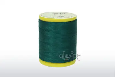 Silk Thread 24