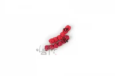 Sesesa Ring Knot 104, 105