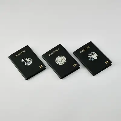 Mother-of-Pearl Hanji Leather Passport Case (Black)