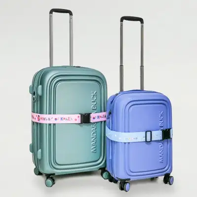 Wings of the World Luggage Belt