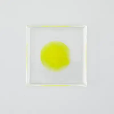 Leisure Moon Square Plate (Square Yellow/Square Blue)