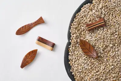 Leaf Coaster