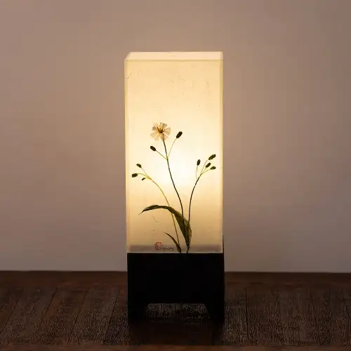 白苦菜花灯