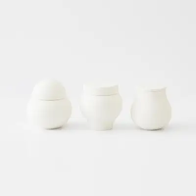 Moon Jar / Plum Bottle / Flask Jar