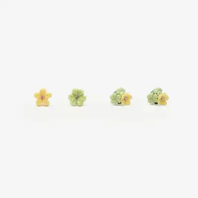 Oxalis Flower Earrings (Crystal/Joy)